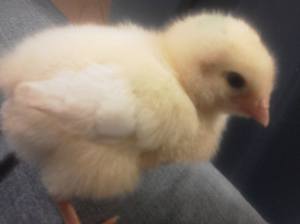 Summer 2013 phone 113