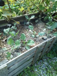 Phone September 2014 632