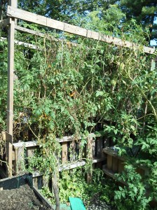 Phone September 2014 634